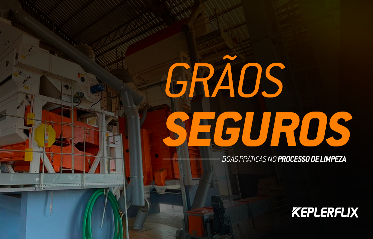 graos-3